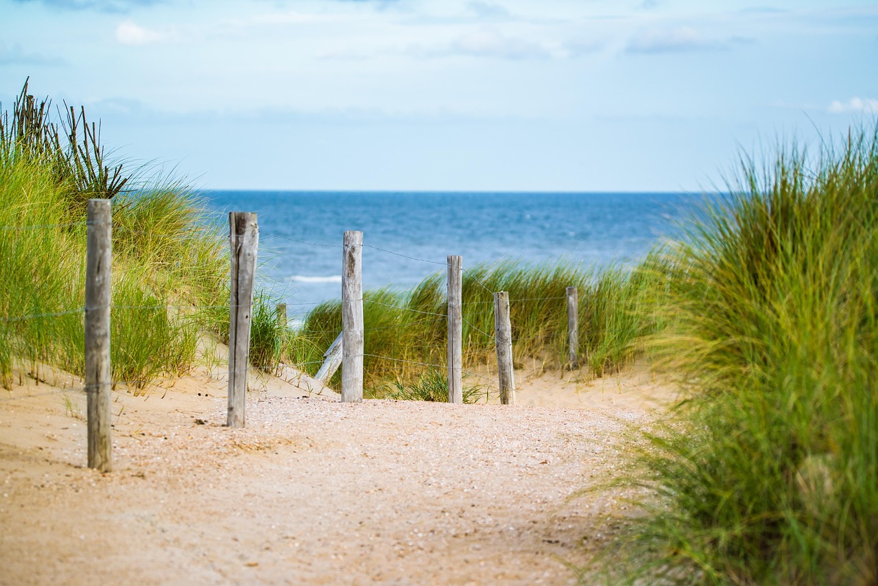 thin, sea, fence, water, vacation, north sea, nature, path, sand, beach, landscape, travel